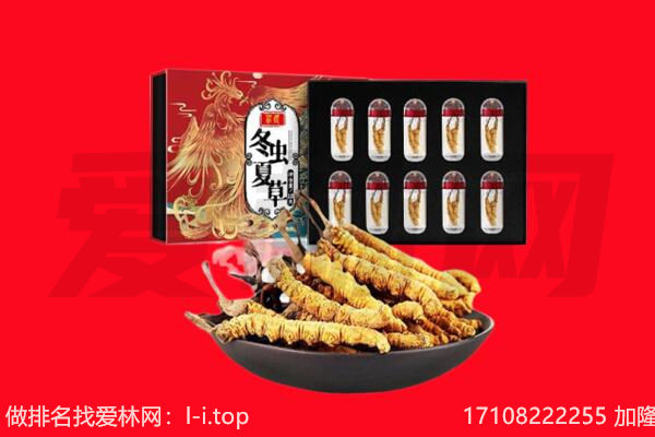 宁江区回收虫草.jpg